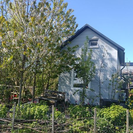Tuinhuisje In Het Groen Almere Ngoại thất bức ảnh