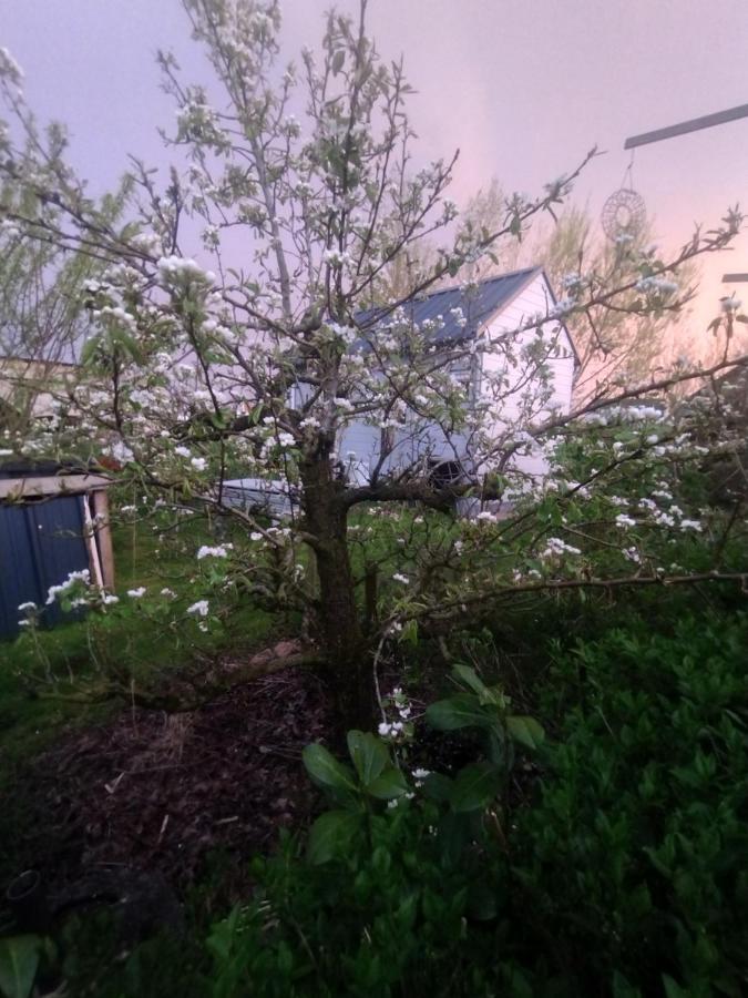 Tuinhuisje In Het Groen Almere Ngoại thất bức ảnh