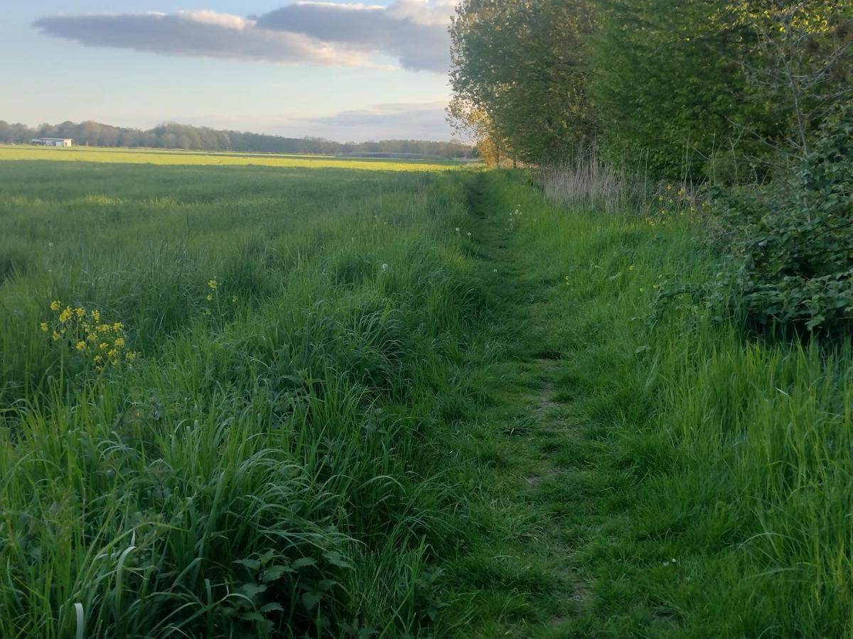 Tuinhuisje In Het Groen Almere Ngoại thất bức ảnh