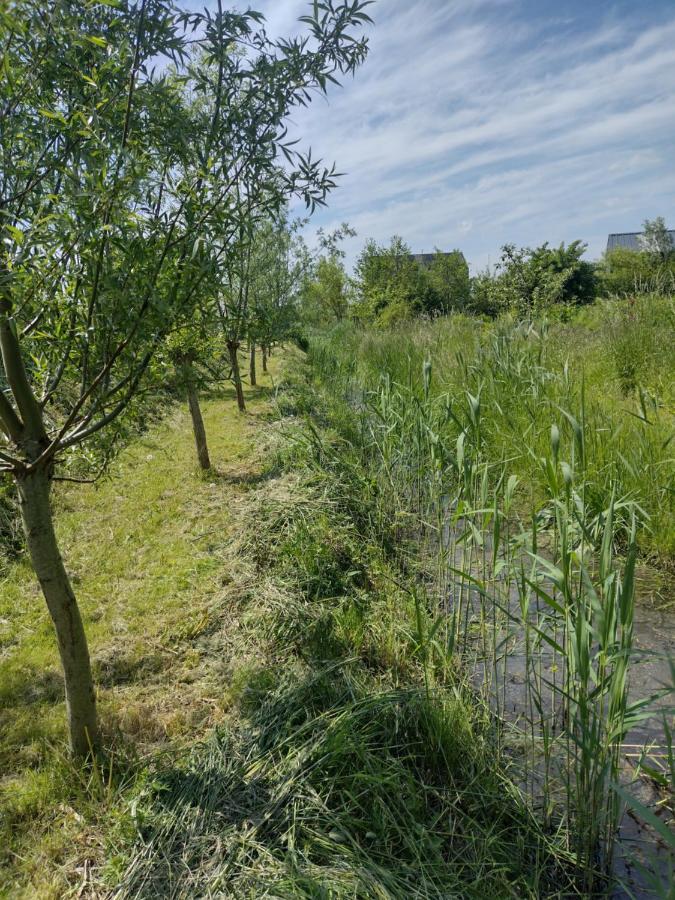 Tuinhuisje In Het Groen Almere Ngoại thất bức ảnh